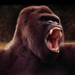 Profile Picture of Kraba (@Krabathor) on Twitter