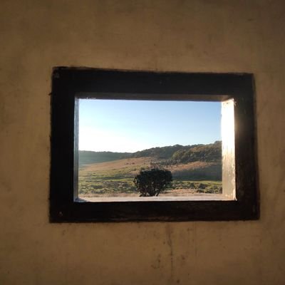 Profile Picture of Tao Zhu (@chainiupeng) on Twitter