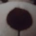 Profile Picture of Ava Neal (@ava.neal.524) on Facebook
