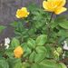 Profile Picture of Marianne In Maine . (@marianneinmaine) on Pinterest