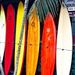 Profile Picture of Garrett Benson (@gbenson10245) on Pinterest