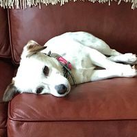 Profile Picture of Nanette Watson (@nanette-watson-2) on Quora