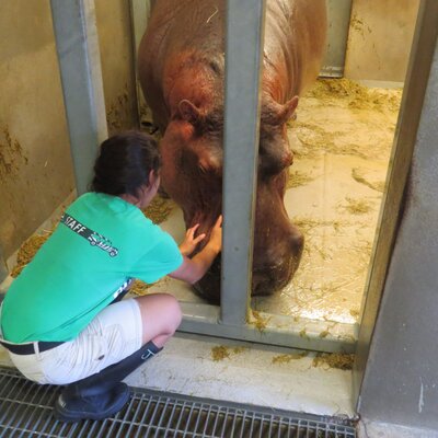 Profile Picture of Jasmine Torrez (@jatorrez) on Twitter