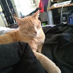 Profile Picture of Brian Carbone (@brian.carbone.908) on Instagram
