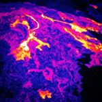 Profile Picture of Brandon (@dooooooooooooooooooooom) on Instagram