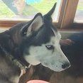 Profile Picture of brianstrutter (@brianstrutter) on Tiktok