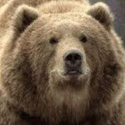 Profile Picture of Andreas Baer (@andreasbaer926) on Youtube