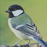 Hillary Stark - Instagram Profile Picture of Hillary Stark (@stars_n_stripes) on Instagram