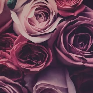 Profile Picture of Own Your Passion®️ (@ownyourpassion) on Instagram