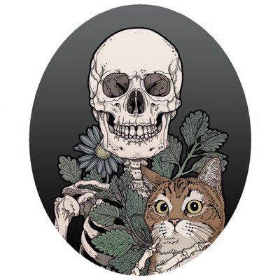 Profile Picture of Victor Lizardi (@victorlizardi2) on Twitter