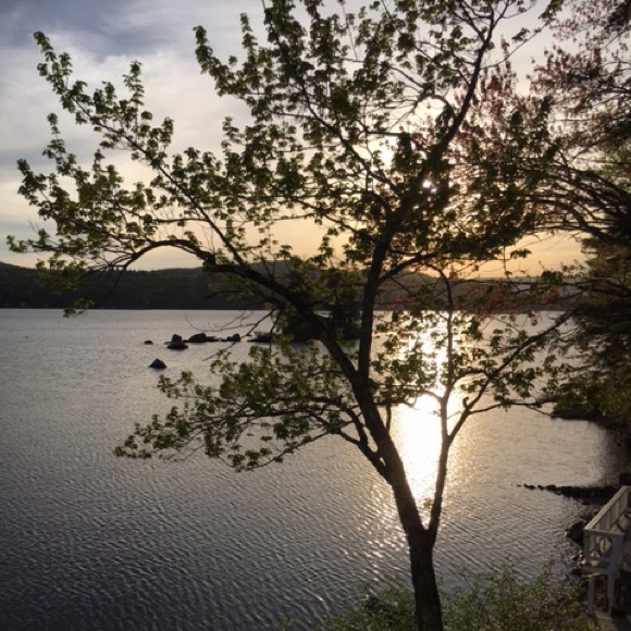 Danielle Duffett - Poshmark Profile Picture of Danielle Duffett (@dd123dd) on Poshmark