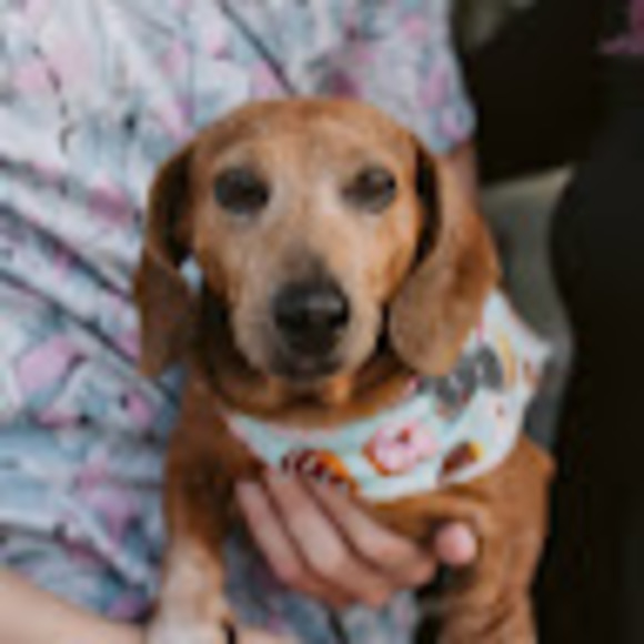 Profile Picture of Cassie Wyers (@cwyers68) on Poshmark