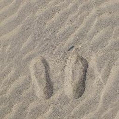 Profile Picture of Fiona Deng (@JKSdenglady) on Twitter