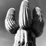 Profile Picture of Jenise & Michael (@black_white_jenise_michael) on Instagram