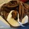 Profile Picture of Phyllis Painter (@phyllis.painter.9) on Facebook