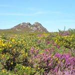 Profile Picture of Mike Uren (@jmikeu) on Instagram