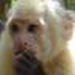 Chris Hayman - Flickr Profile Picture of Chris Hayman (@chrishay) on Flickr