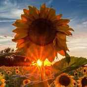 Profile Picture of Jeff Arrington (@jeffarrington3446) on Youtube