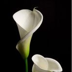 Profile Picture of Kellie Engholm (@kellie.engholm) on Facebook