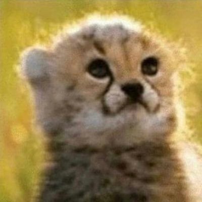 Profile Picture of Vicky Choi (@CtlChoi) on Twitter