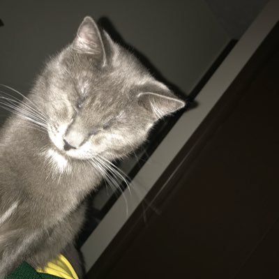 Profile Picture of Reid Morrison (@reidmorrison_) on Twitter