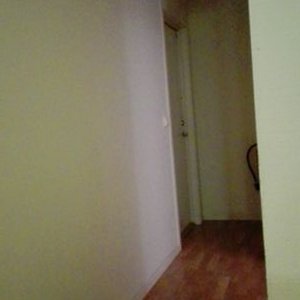 Profile Picture of Selam Abraham (@teweldebir) on Twitter