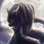 Profile Picture of Casey McDaniel (@xxwerewolfxx4) on Instagram