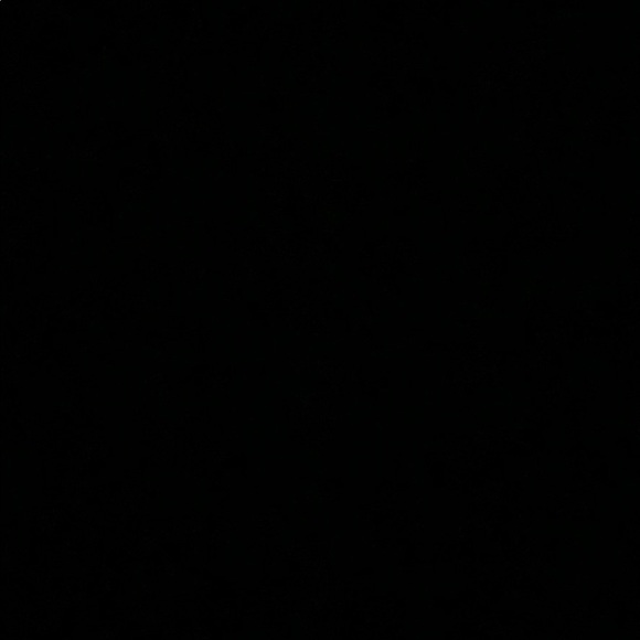 Profile Picture of Noelle Quinn (@noelle_q) on Poshmark