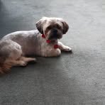 Profile Picture of Hazel Salter (@hazel.salter.2025) on Facebook