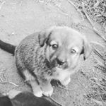 Jesse Dummer - Instagram Profile Picture of Jesse Dummer (@jesse_dummer039) on Instagram