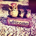 Profile Picture of Dustin (@bourqueferg) on Instagram