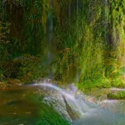 Profile Picture of Mahmudul Hoque (@MahmudulHoque-un3nn) on Youtube