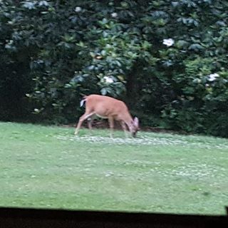 Profile Picture of Jerry Poteat (@Jerry-Poteat) on Facebook