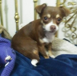 Profile Picture of Cheryl Lowe (Cheryl Covert) (@cheryl.lowe.771) on Facebook