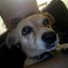 Profile Picture of Chrystal Osborn (@chryslight) on Pinterest