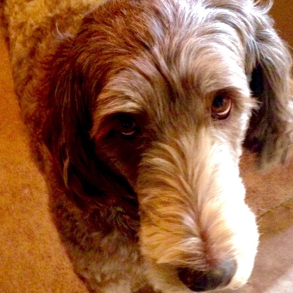 Caryl Barmack - Poshmark Profile Picture of Caryl Barmack (@carylb56) on Poshmark