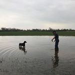 Profile Picture of Andrew Heslop (@andrew.heslop670) on Instagram