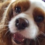 Profile Picture of Philip Wilkes (@philip.wilkes.984) on Instagram