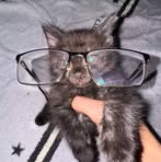 John Lloyd Aguila Lunes - Facebook Profile Picture of John Lloyd Aguila Lunes (@john.lloyd.aguila.monday) on Facebook