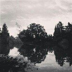 Profile Picture of Kyle Mark Darienzo (@kyledarienzo) on Instagram