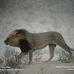Profile Picture of David Whitmer (@david.whitmer.583) on Facebook
