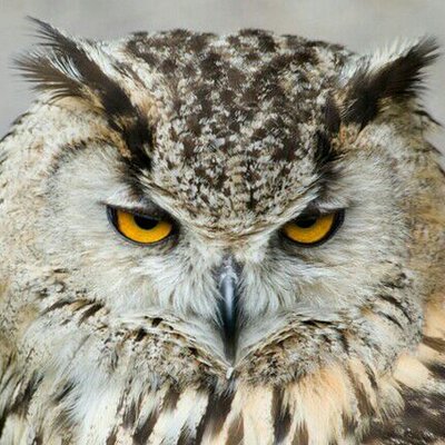 Profile Picture of Chris Cater (@cjcater) on Twitter