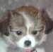 Profile Picture of Trudy Irvine (@Trudy-Irvine) on Facebook