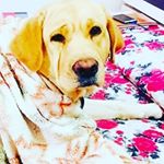 Profile Picture of Mayur Rathod (@mayur_rathod07) on Instagram