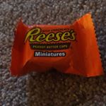 Profile Picture of Ronan Sutton (@ronan.s.2007) on Instagram