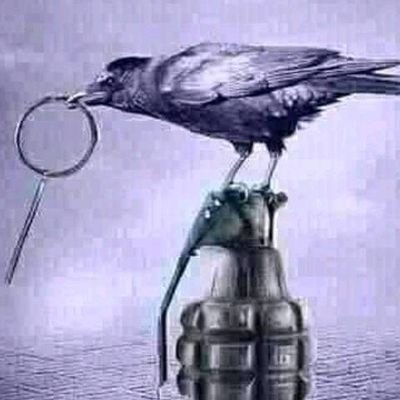 Profile Picture of Philimon Daniel (@PhilimonDaniel1) on Twitter