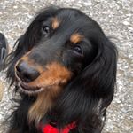 Profile Picture of Marlene Hoffmann (@marlene.hoffmann.9085) on Instagram