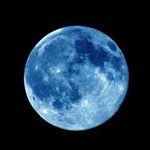 Profile Picture of David Widdowson (@widderlar) on Instagram