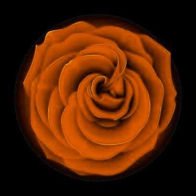 Profile Picture of - (@QuinnHart_LSP) on Twitter