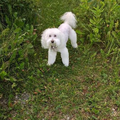 Profile Picture of Ernie Randall (@curl3311) on Twitter